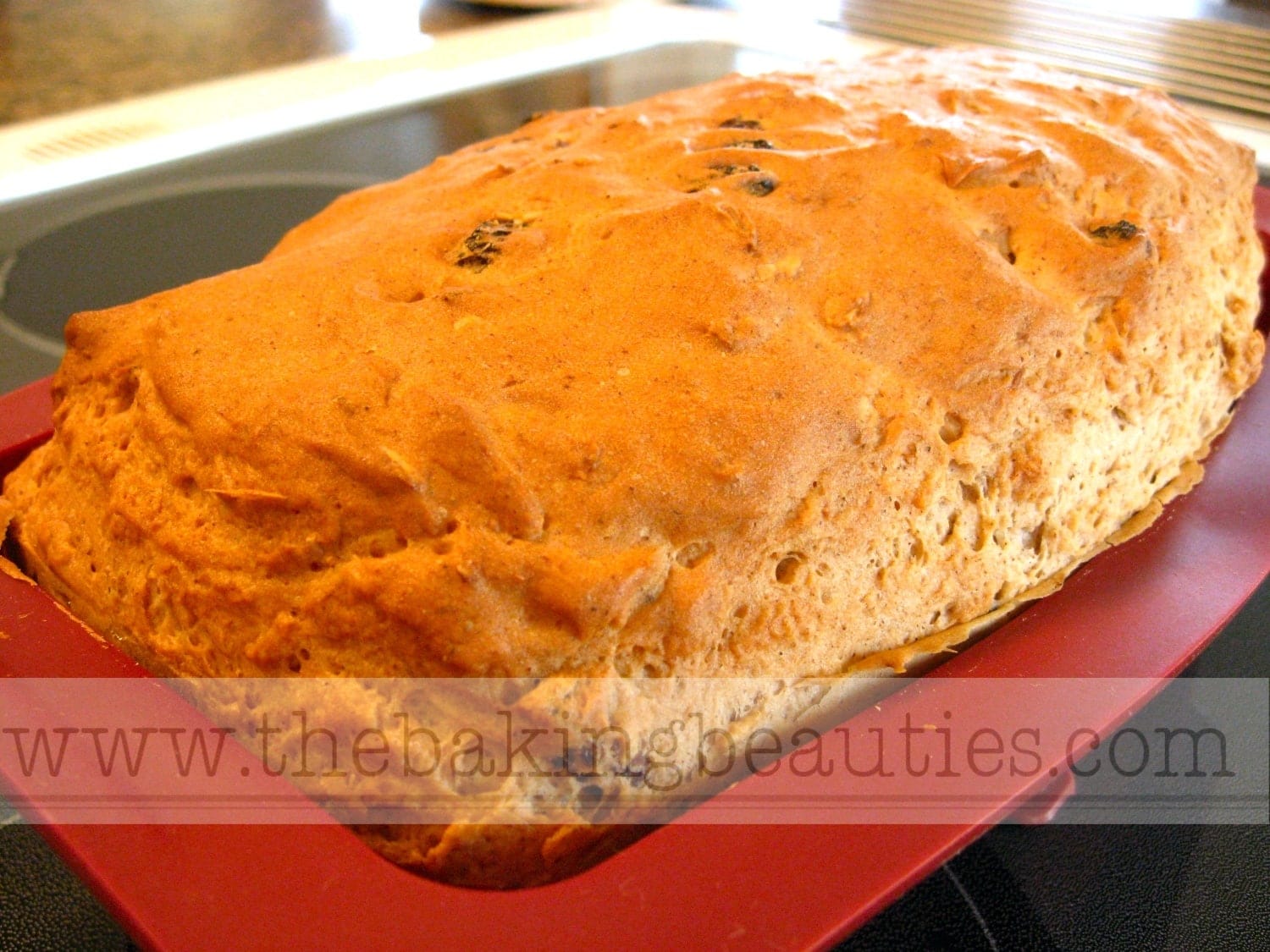 Gluten Free Oatmeal Cinnamon Raisin Bread Faithfully Gluten Free