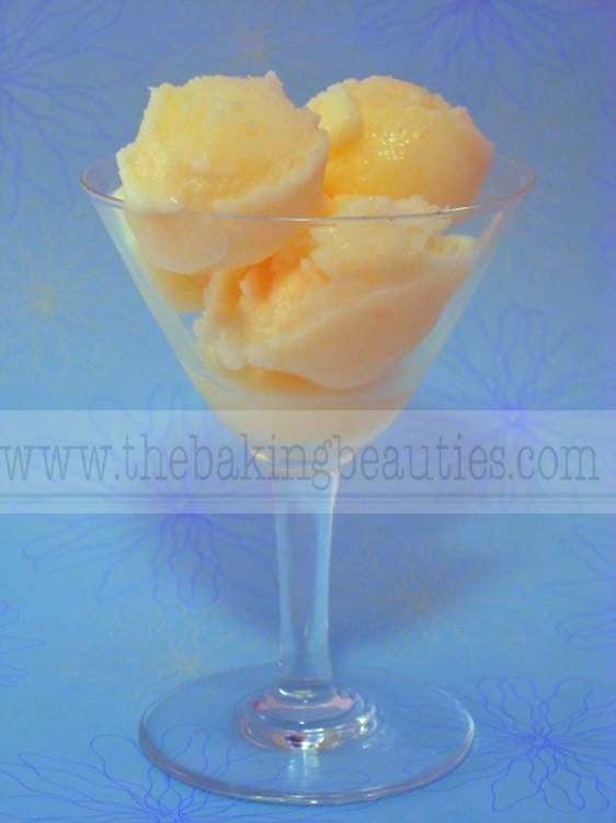 Pina Colada Sorbet - Faithfully Gluten Free