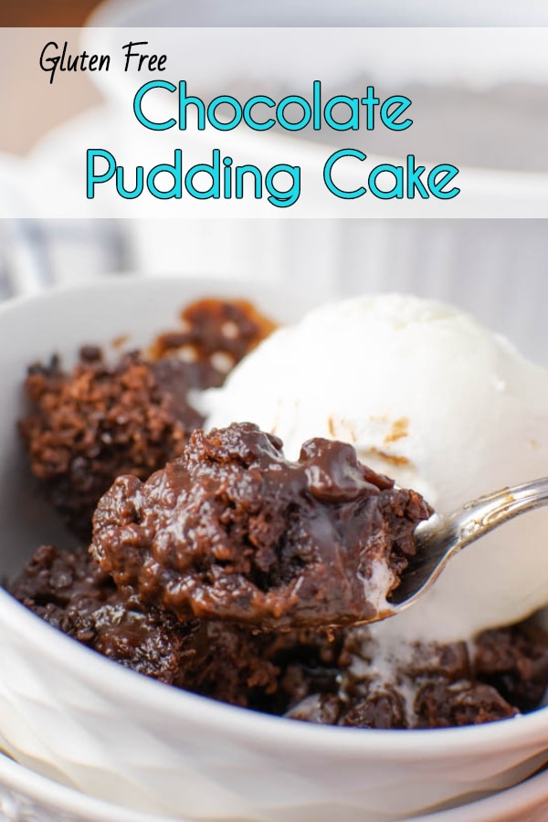 Gluten Free Chocolate Pudding Cake Recipe