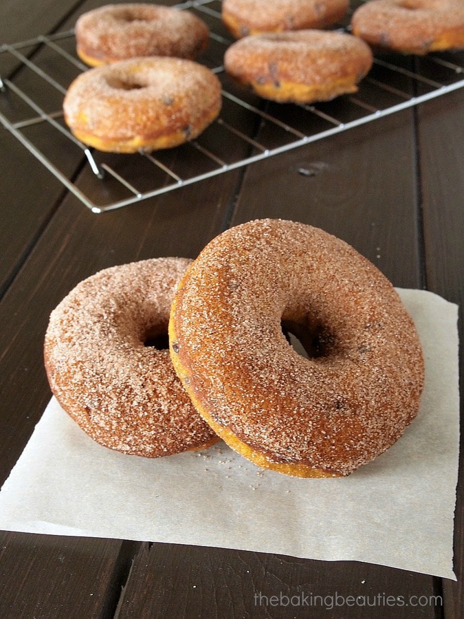 Gluten Free Baked Pumpkin Chocolate Chip Doughnuts | The Baking Beauties