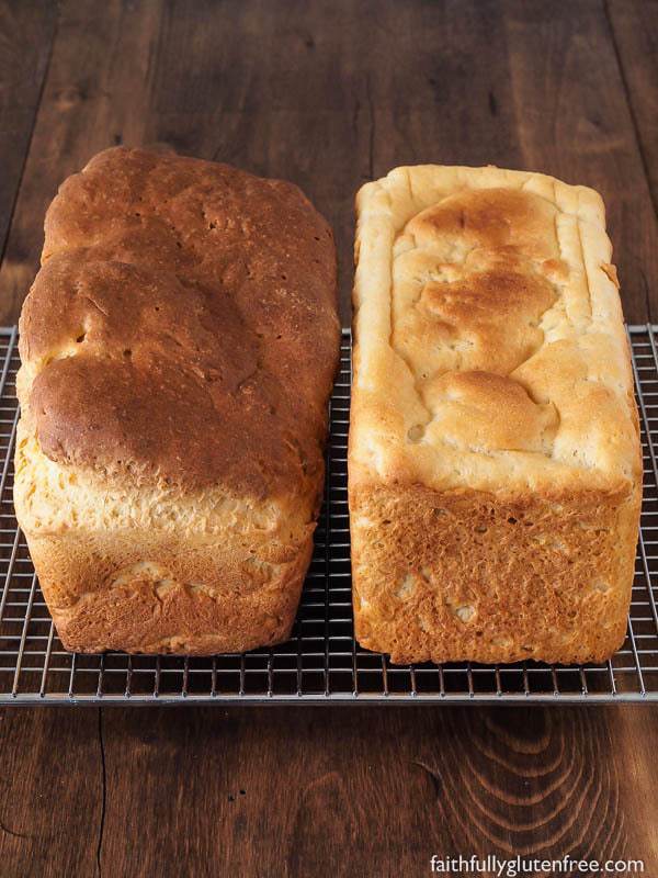 Gluten Free bread shouldn't be a brick. This gluten free Millet Sandwich Bread is light, soft and squishy, holds up to a sandwich quite well, and has a great flavour.