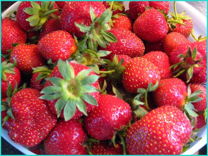 Gluten Free Recipes Featuring Strawberries