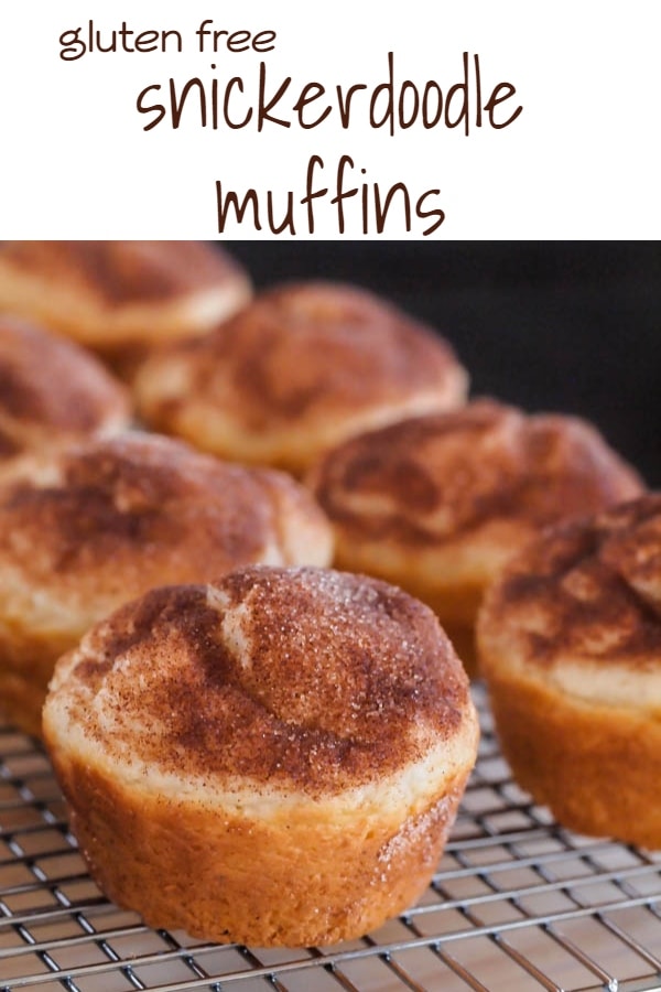 Topped with cinnamon and sugar, these fluffy Gluten Free Snickerdoodle Muffins are the perfect addition to your brunch , lunch or snack.