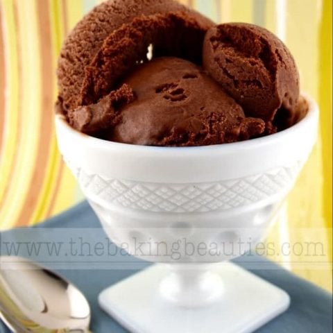 Mocha Fudge Ripple Ice Cream